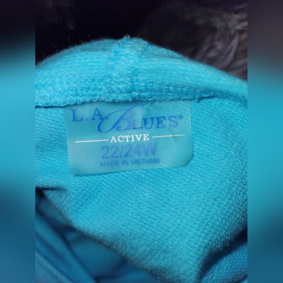 LA Blues Active size22/24 Baby Blue Embroiderd & Rinestone Embellished Hoodie - Picture 6 of 7